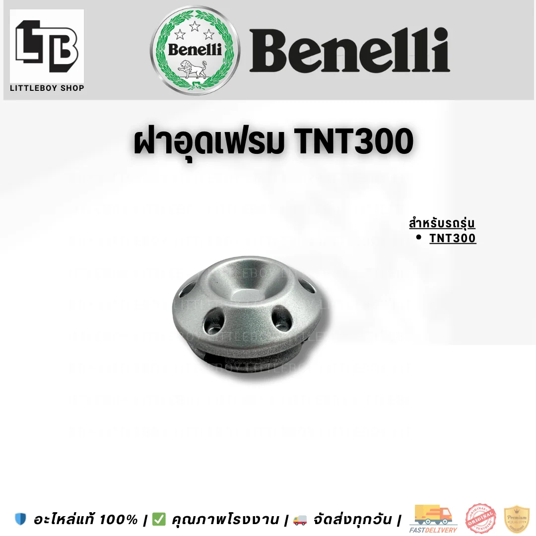 ฝาอุดเฟรม TNT300