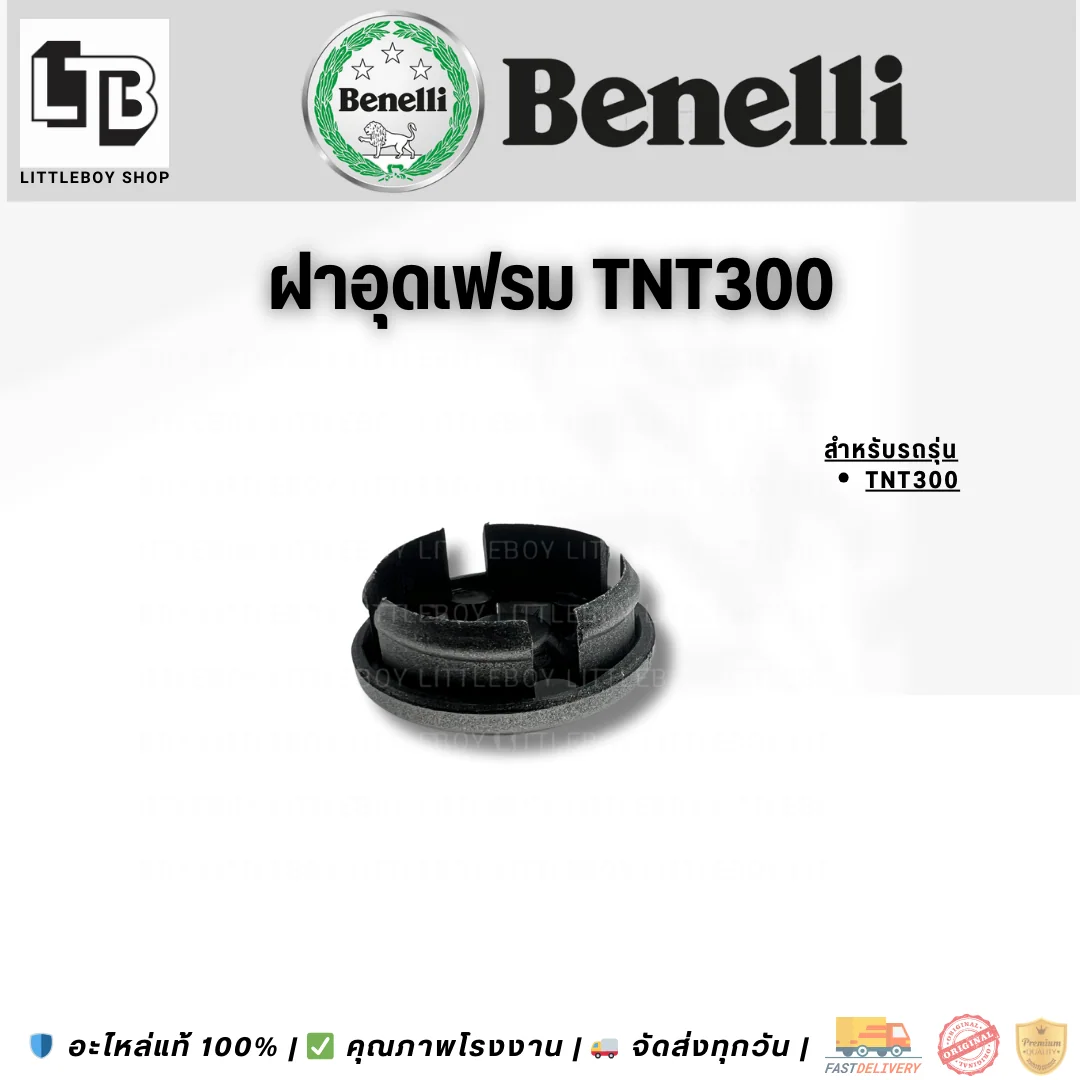 ฝาอุดเฟรม TNT300