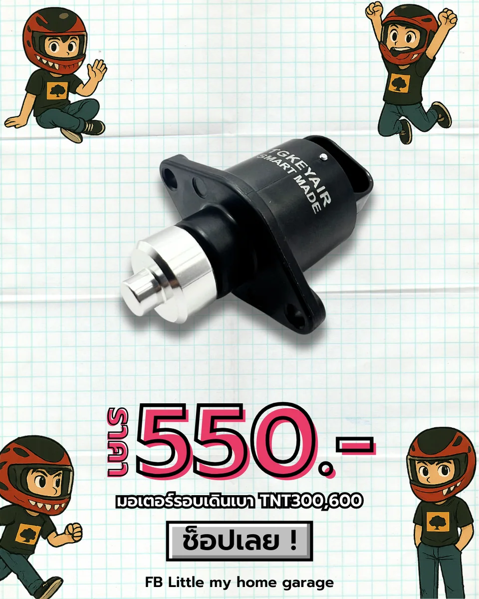 มอเตอร์รอบเดินเบา TNT300/600