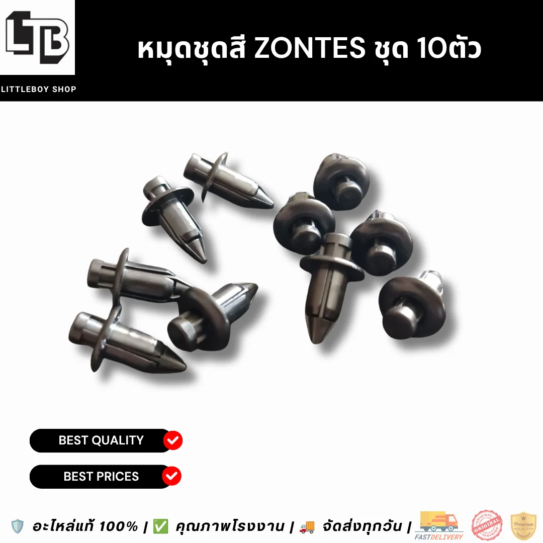 หมุดชุดสี ZONTES ชุด 10ตัว