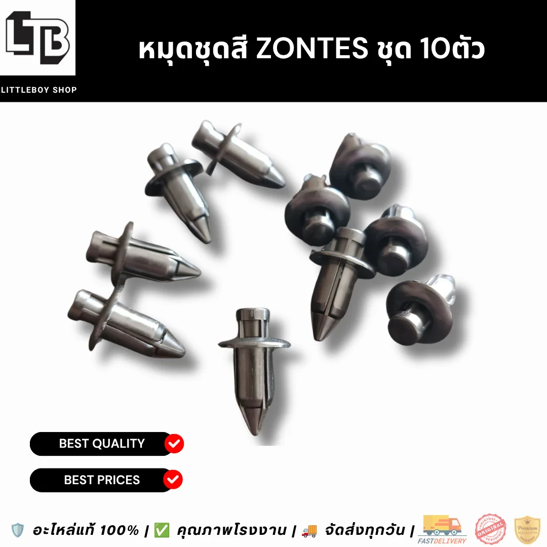 หมุดชุดสี ZONTES ชุด 10ตัว